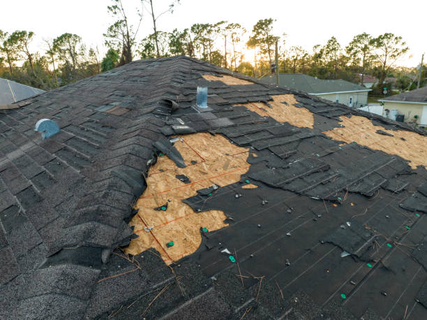 Best Asphalt Shingle Roofing  in West Hollywood, CA