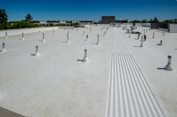 Best Roof Coating and Sealing  in West Hollywood, CA